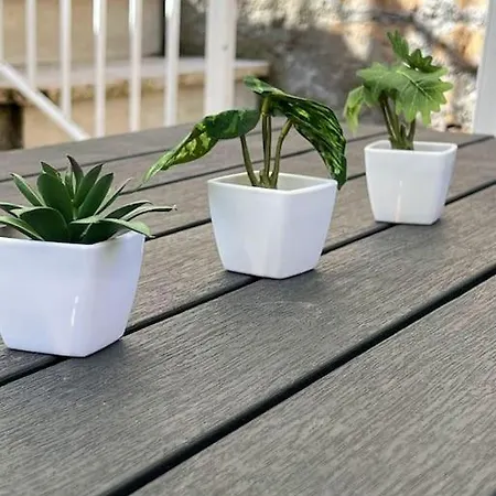 Apartment Virgy Green House